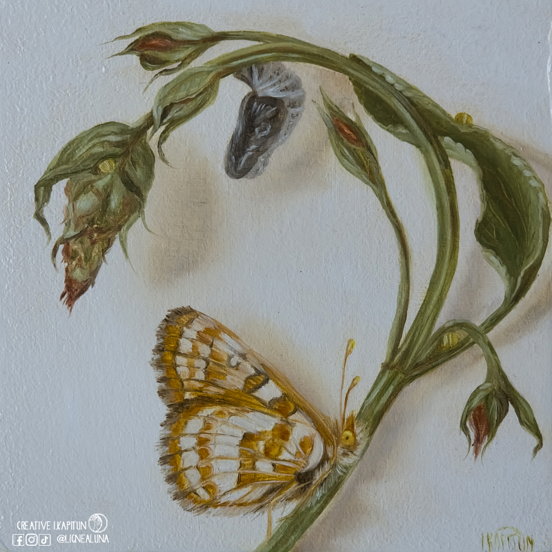 Oil painting “Bay Checkerspot butterfly and pupa”