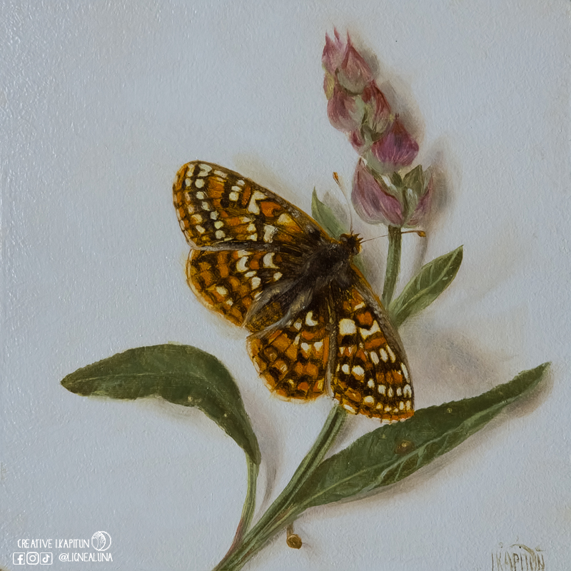 Oil painting “Bay Checkerspot butterfly”