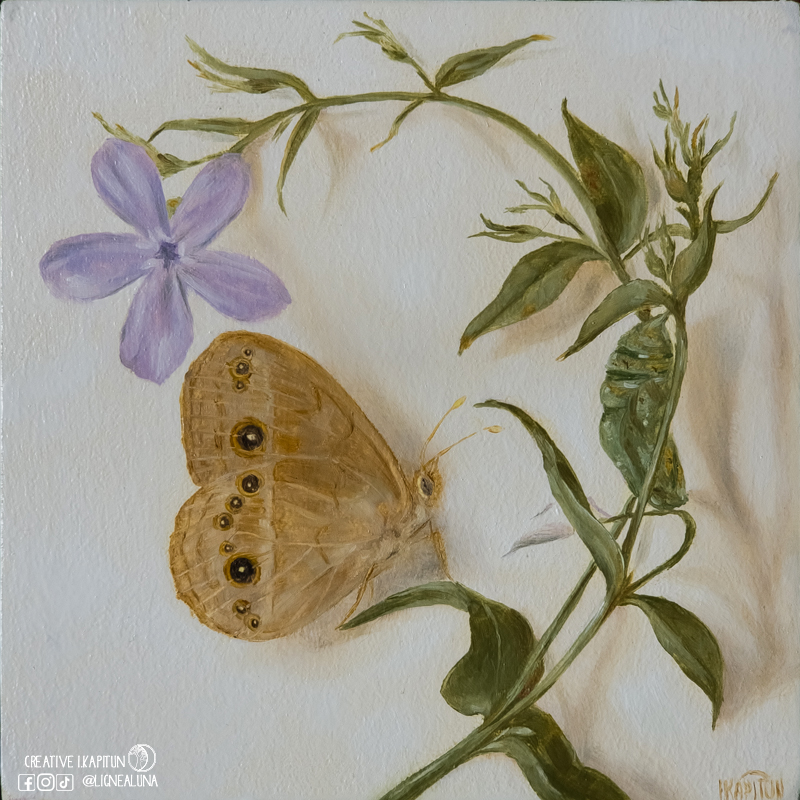 Oil painting “Chinese Bush Brown butterfly and pupa”
