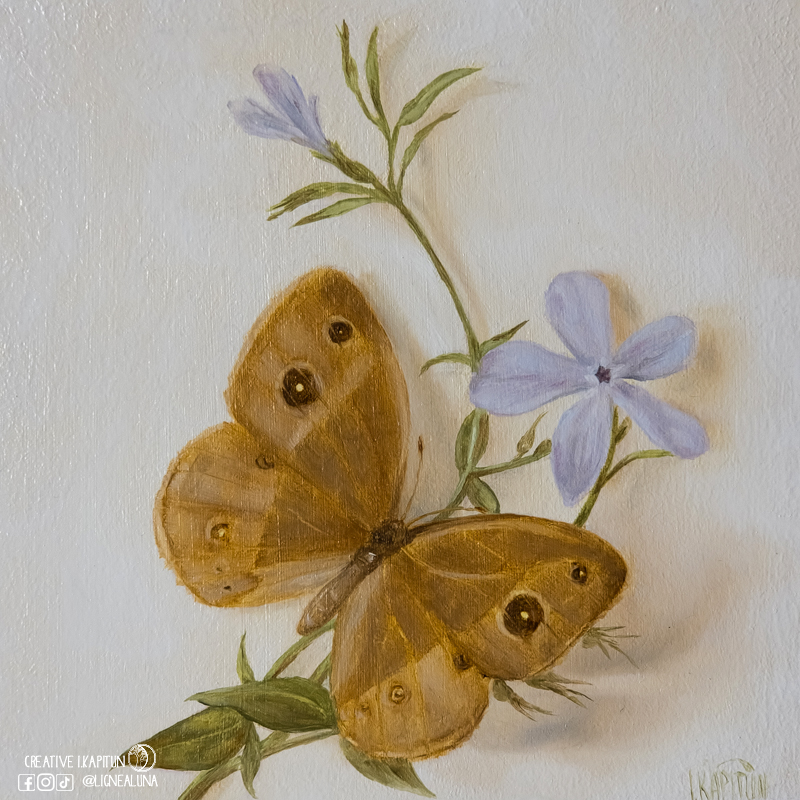 Oil painting “Chinese Bush Brown butterfly”