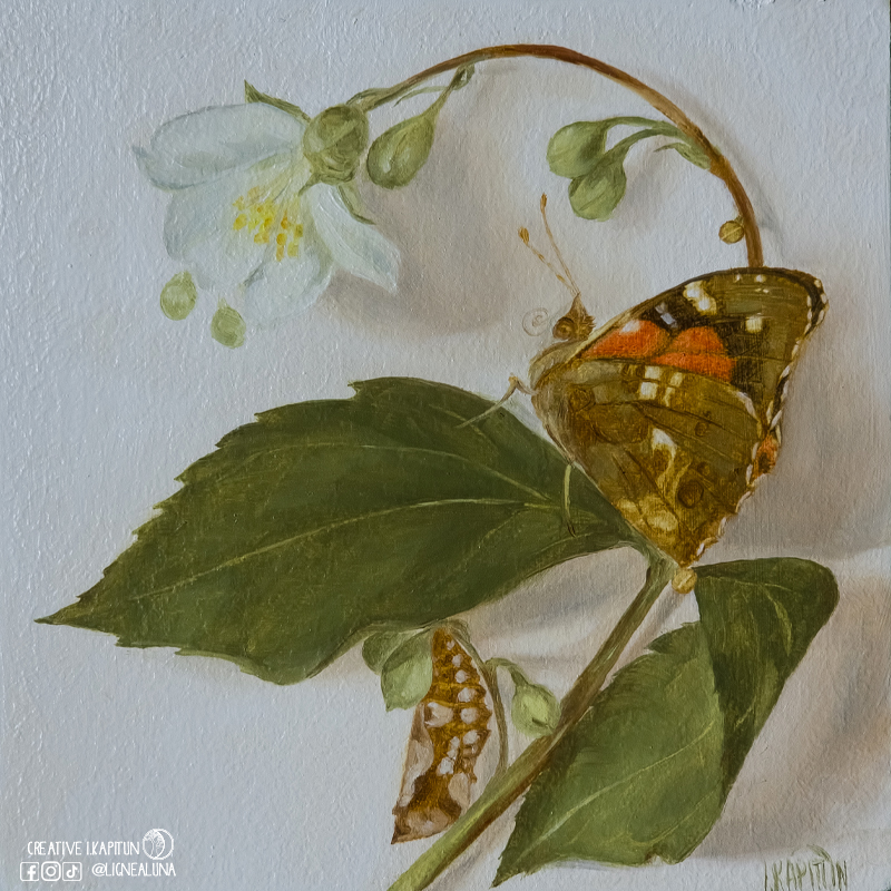 Oil painting “Kamehameha butterfly and pupa”