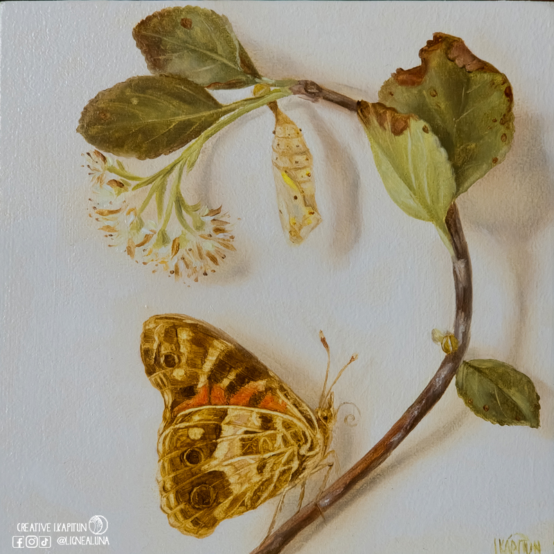 Oil painting “Painted Lady butterfly and pupa”