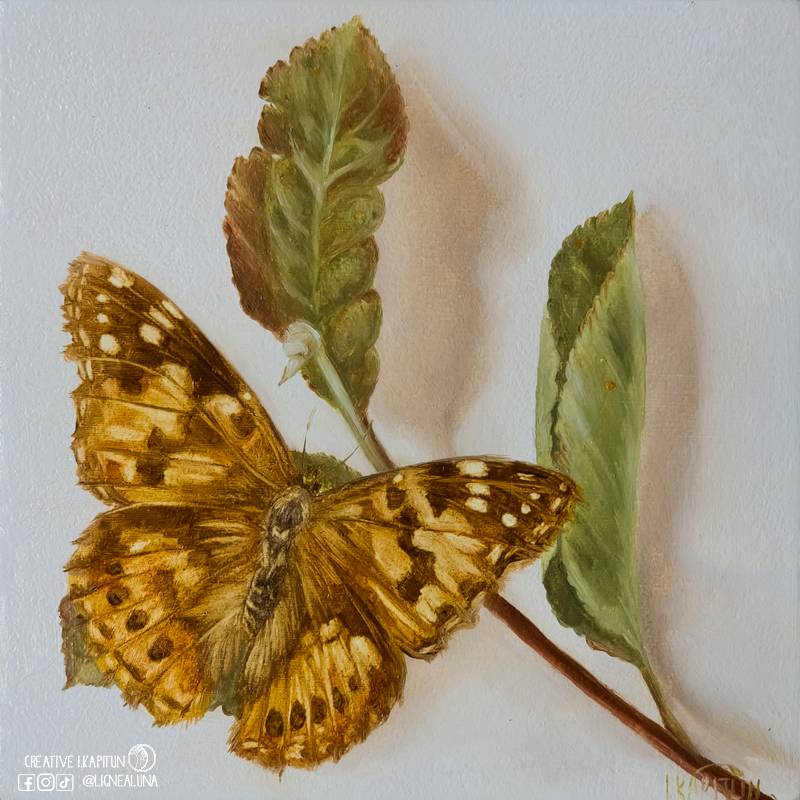 Oil painting “Painted Lady butterfly”