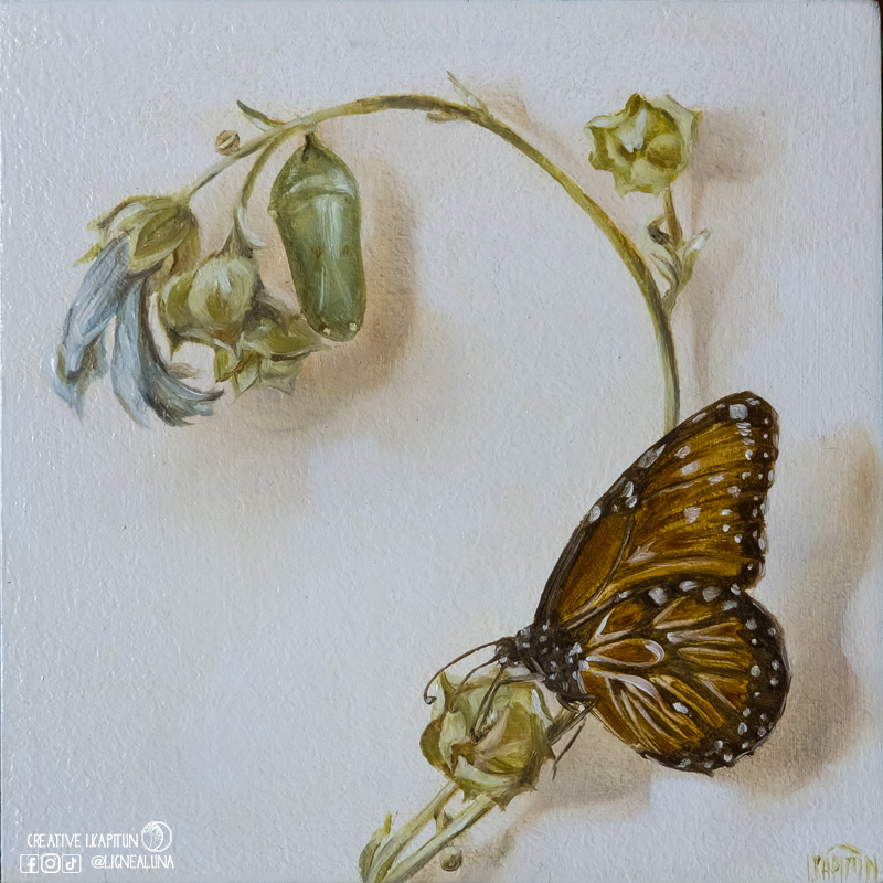 Oil painting “Queen butterfly and pupa”
